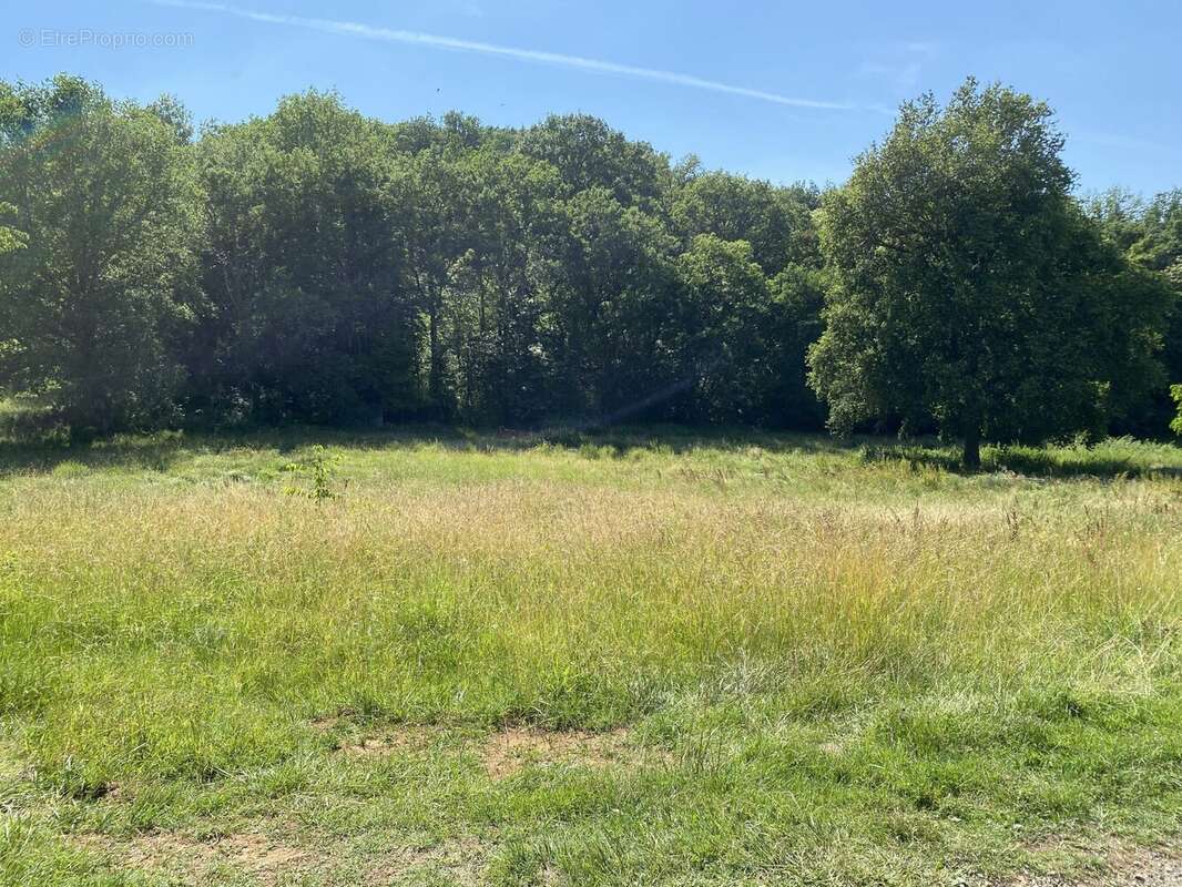 Terrain à BERBIGUIERES