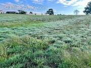 Terrain à RAMOUS