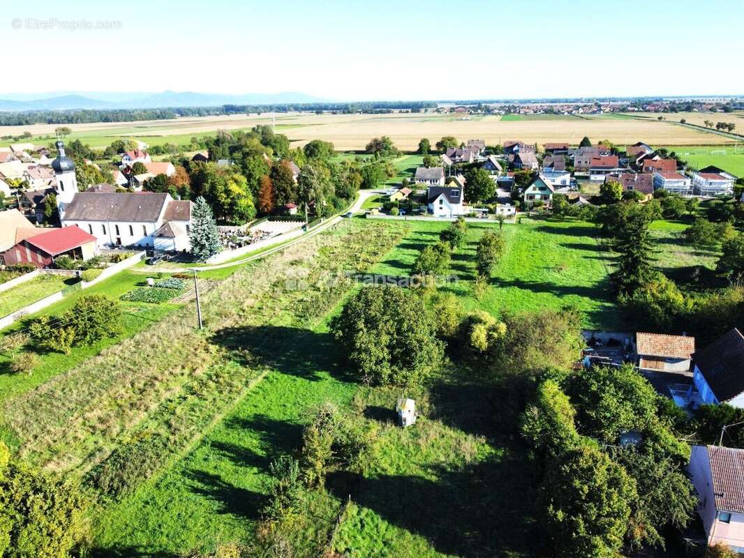 Terrain à GRUSSENHEIM