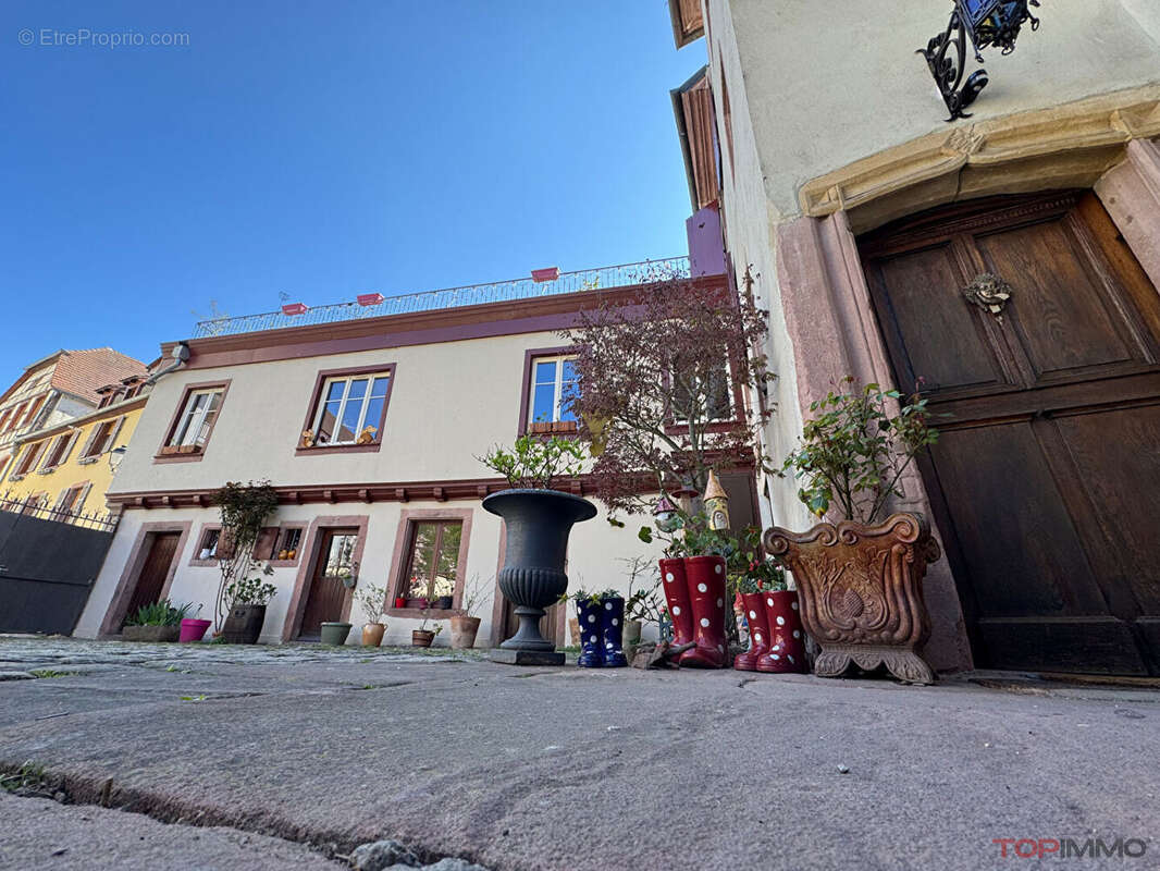 Maison à RIBEAUVILLE