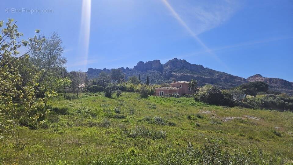 Terrain à ROQUEBRUNE-SUR-ARGENS