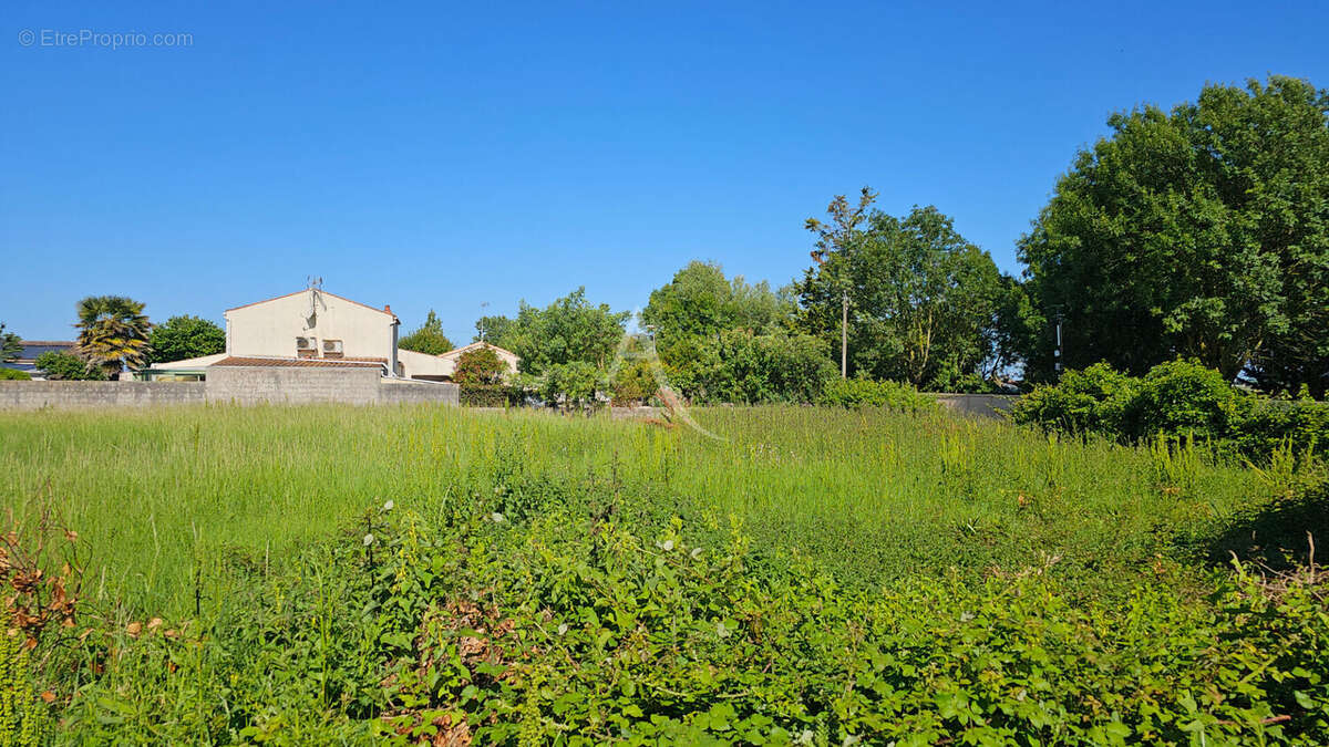 Terrain à SAINT-FROULT