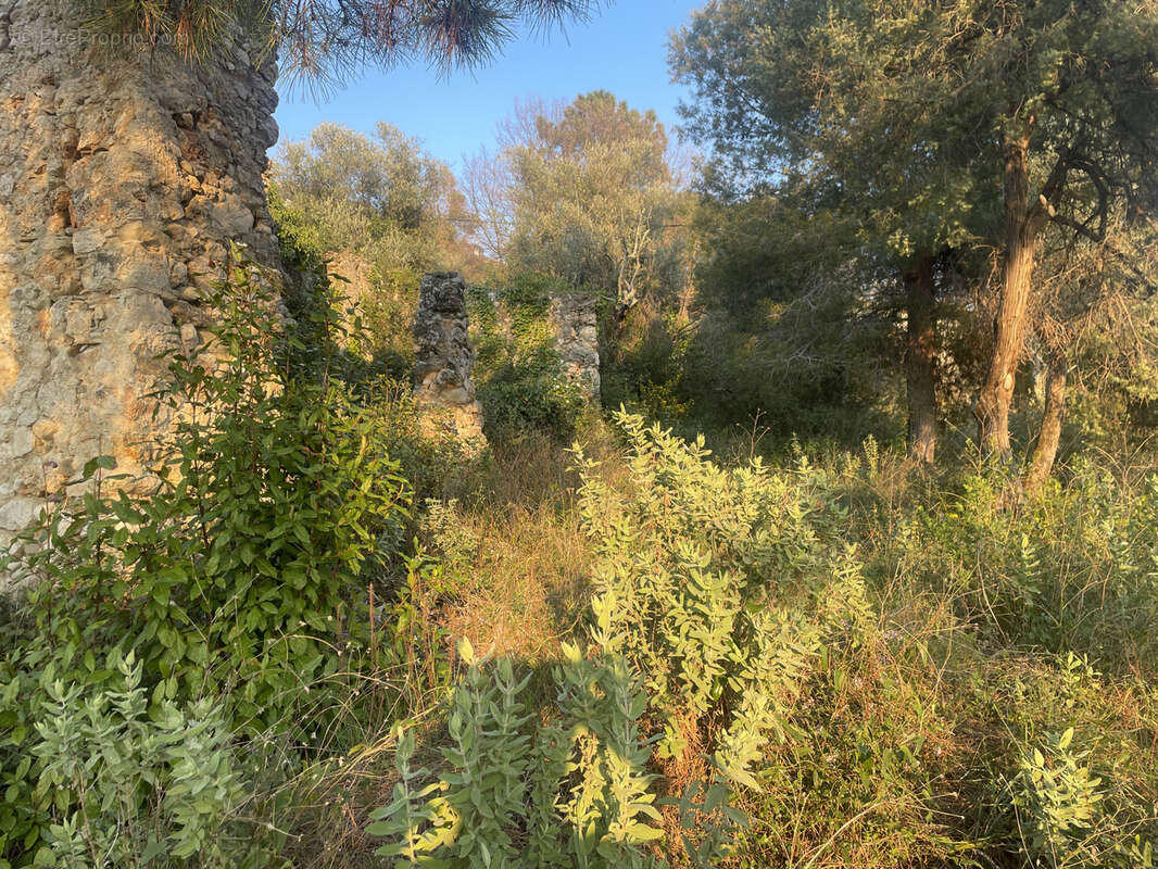 Terrain à CASTAGNIERS