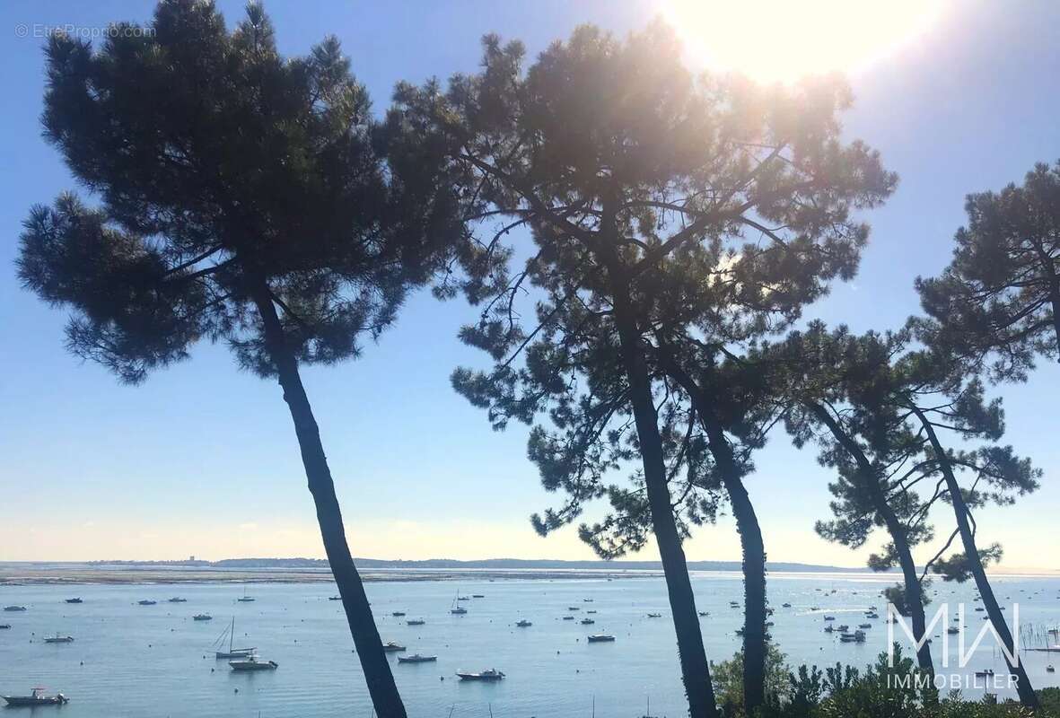 Maison à LEGE-CAP-FERRET