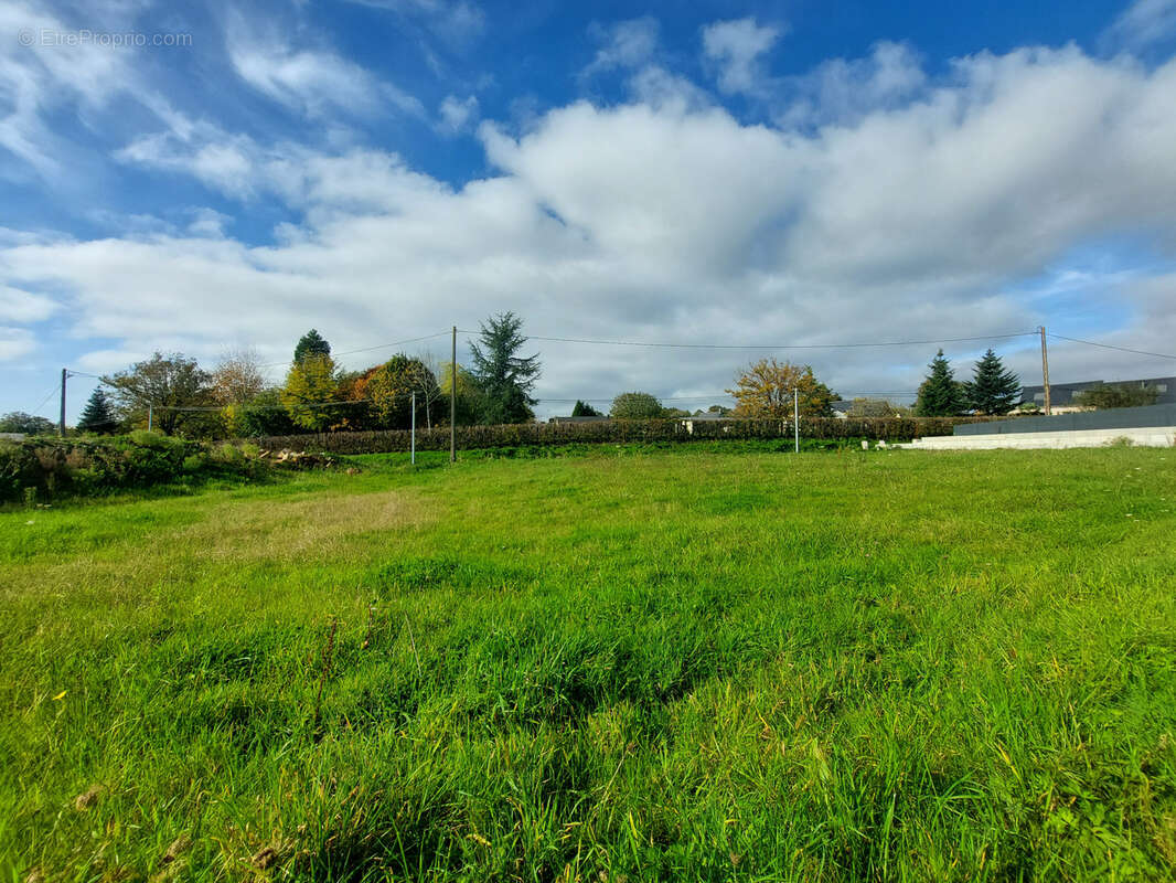 Terrain à LE PERTRE