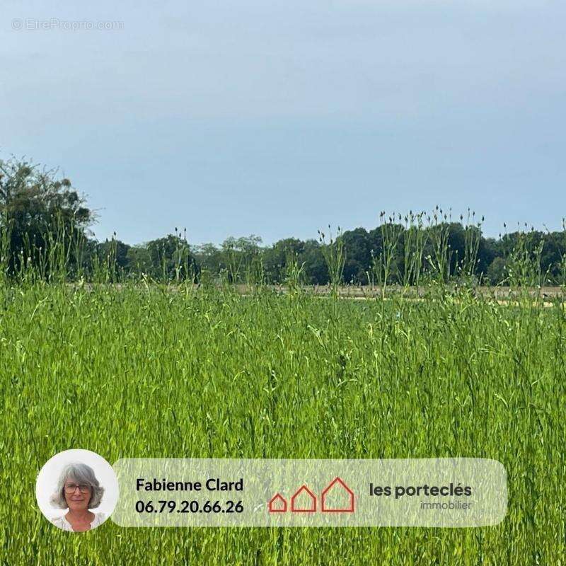 Terrain à IMBLEVILLE