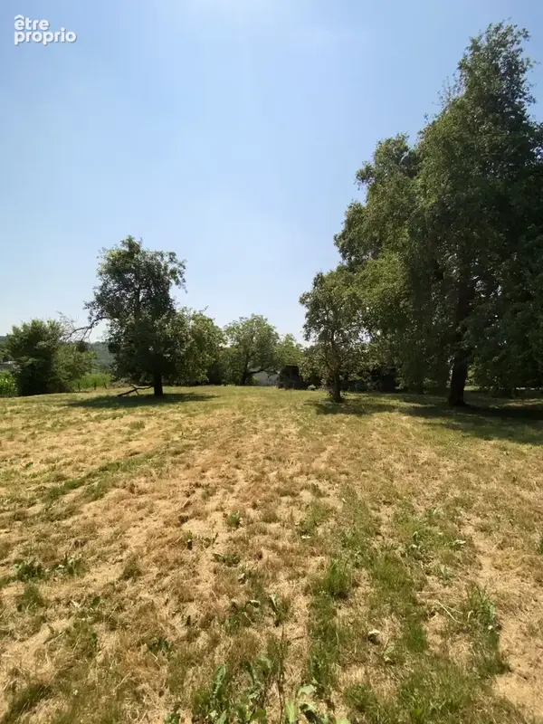 ARISTIMMO - Ferme à Monein - photo 19