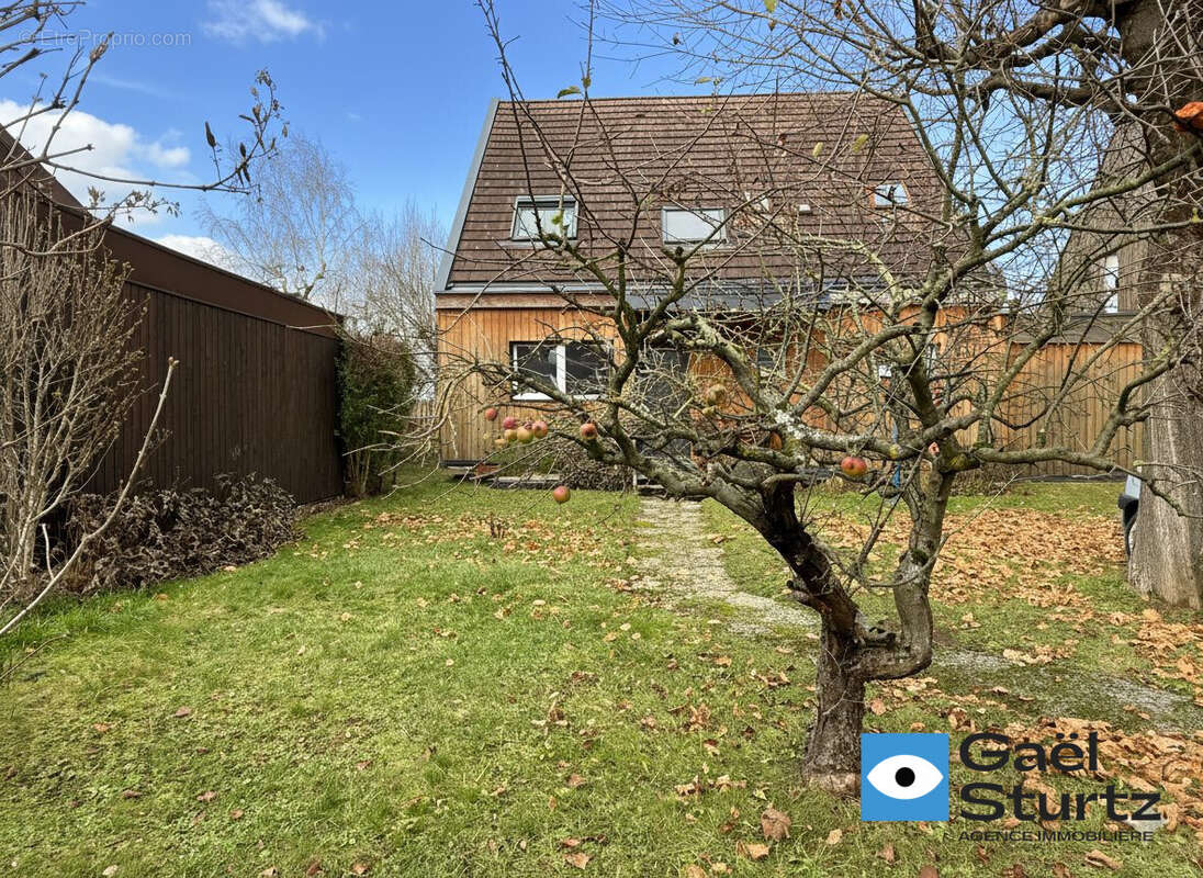 Maison à OBERHAUSBERGEN