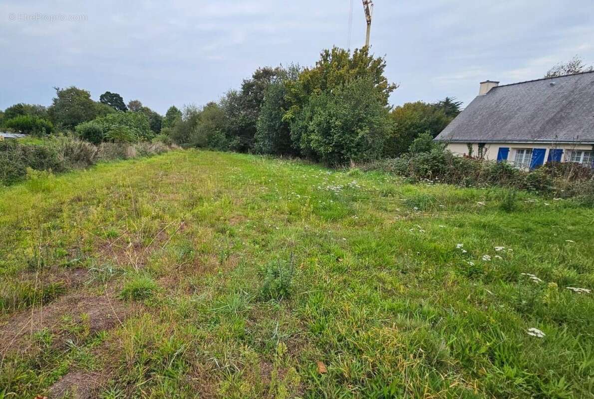 Photo 2 - Terrain à LA TURBALLE