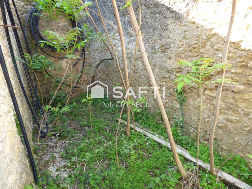 Photo 5 - Parking à SAINT-ANDRE-DE-SANGONIS