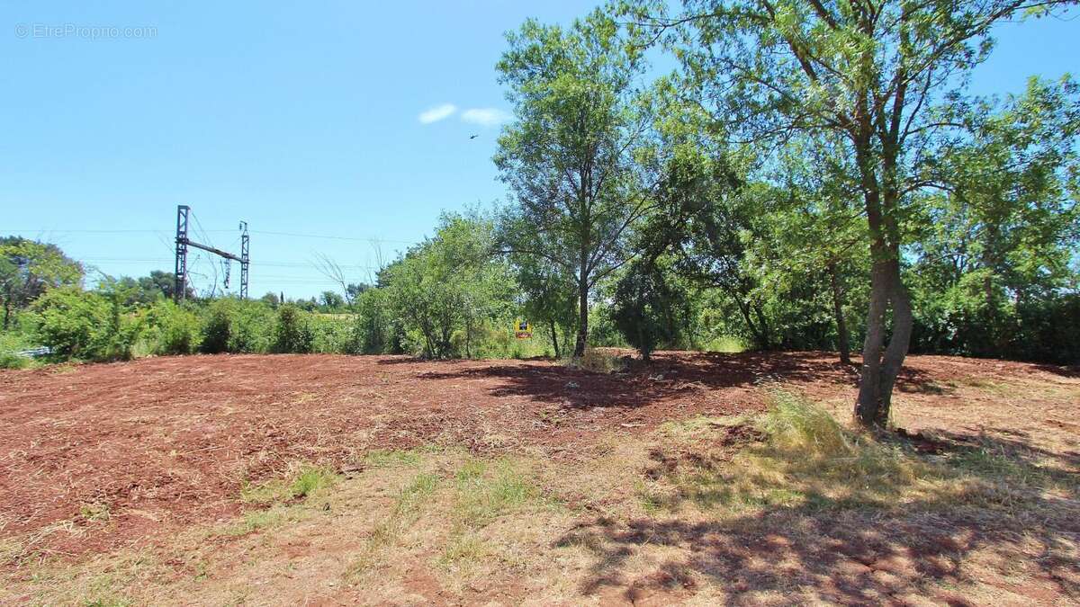 Terrain a batir le cannet des maures zone urbaine  uca 445m² - photo 3