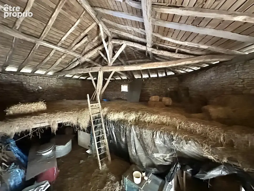 Projet de rénovation avec grande grange, garage et jardin près de Saint-Claud - photo 2