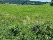 Terrain à LA BATIE-NEUVE