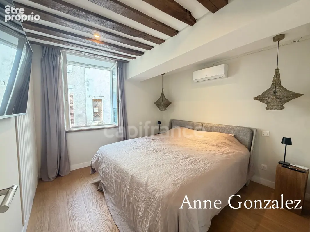 ORLEANS Coeur de ville entre Centre historique et bords de Loire à vendre superbe appartement T4 rénové avec patio intérieur san - photo 10