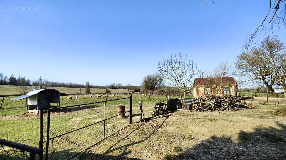 Propriété Landaise 186 m2 avec dépendances, hangars et insta - photo 24