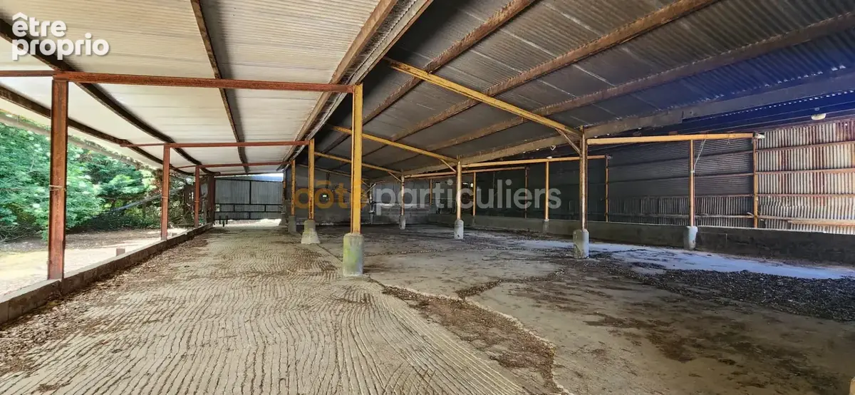 Saint vincent sur jard -- ensemble immobilier -- maison 4 pieces -- grange -- terrains -- 5 hangars - photo 16