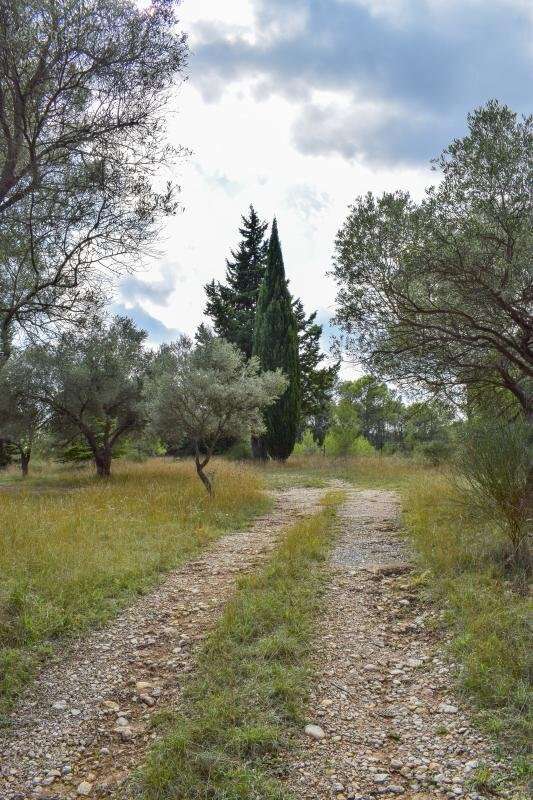 Terrain à VALFLAUNES