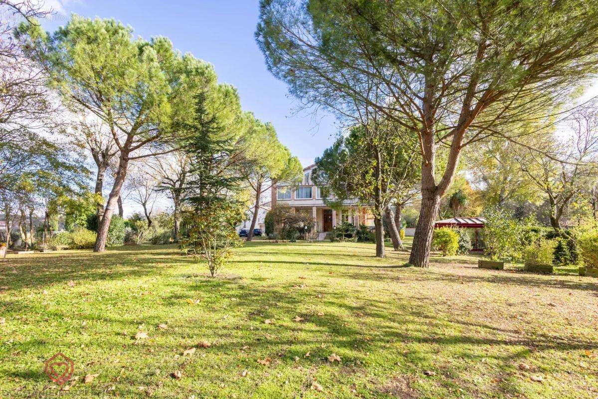 Maison à VILLEFRANCHE-DE-LAURAGAIS