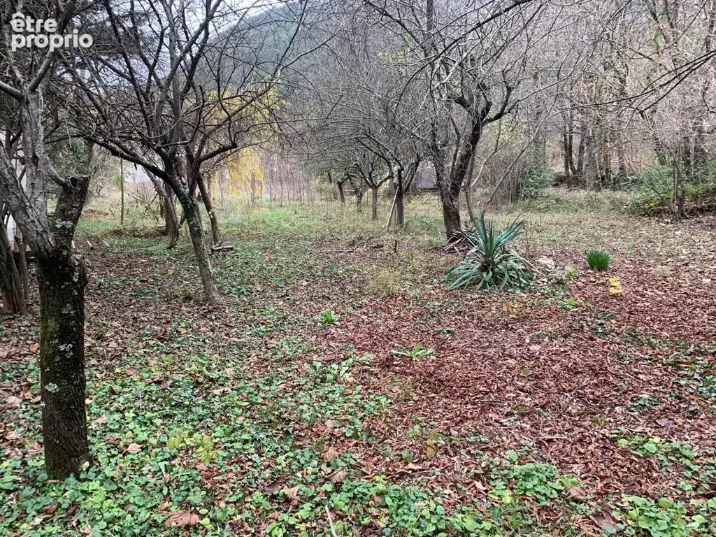  terrain de 2550 m2 arboré constructible et viabilisé - photo 2