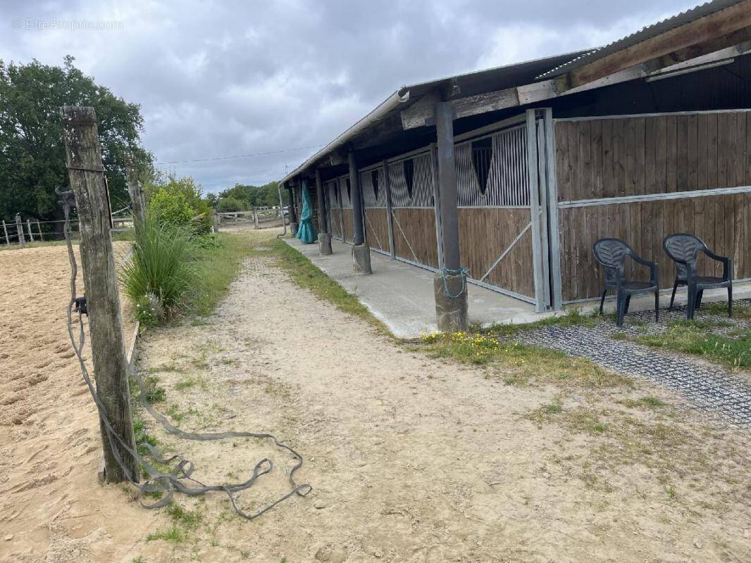 Commerce à LA CHAPELLE-LAUNAY