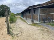 Commerce à LA CHAPELLE-LAUNAY