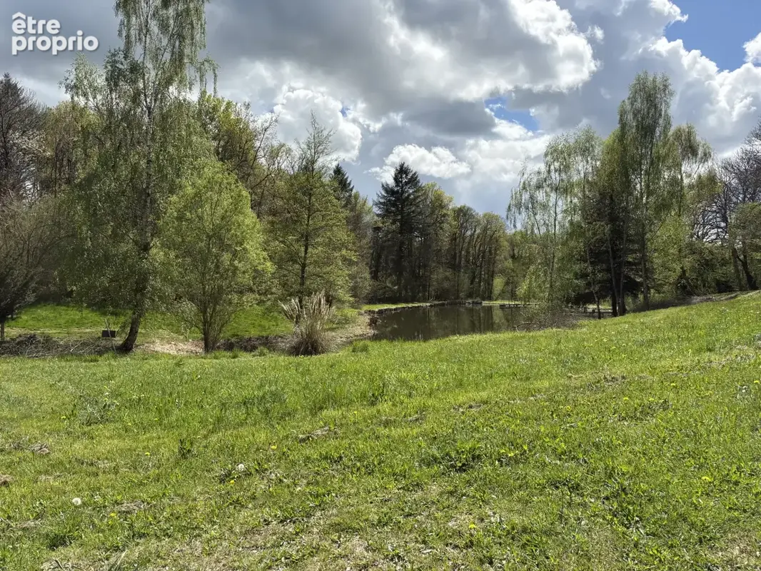 Château Chervix maison de 4 pièces, étang, bois et 3,36 ha sans voisinage - photo 14