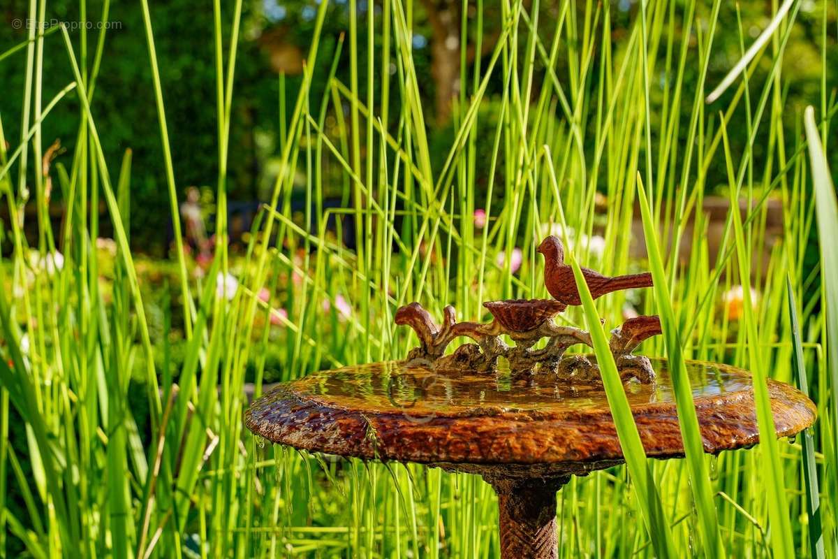 Maison à MONTPELLIER