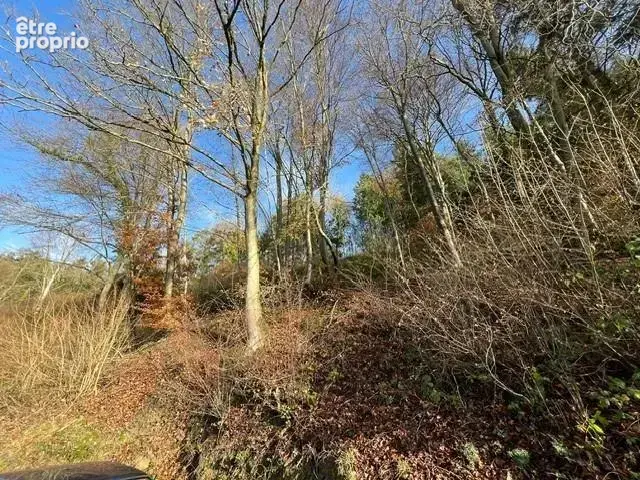 Terrain 8471 m² à La Vespiere  - photo 3