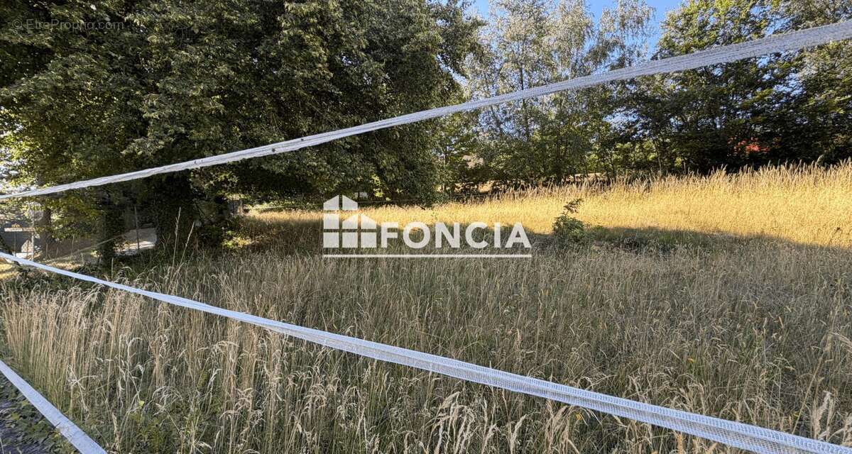 A vendre terrain constructible de 13,86 ares sur DABO - photo 3