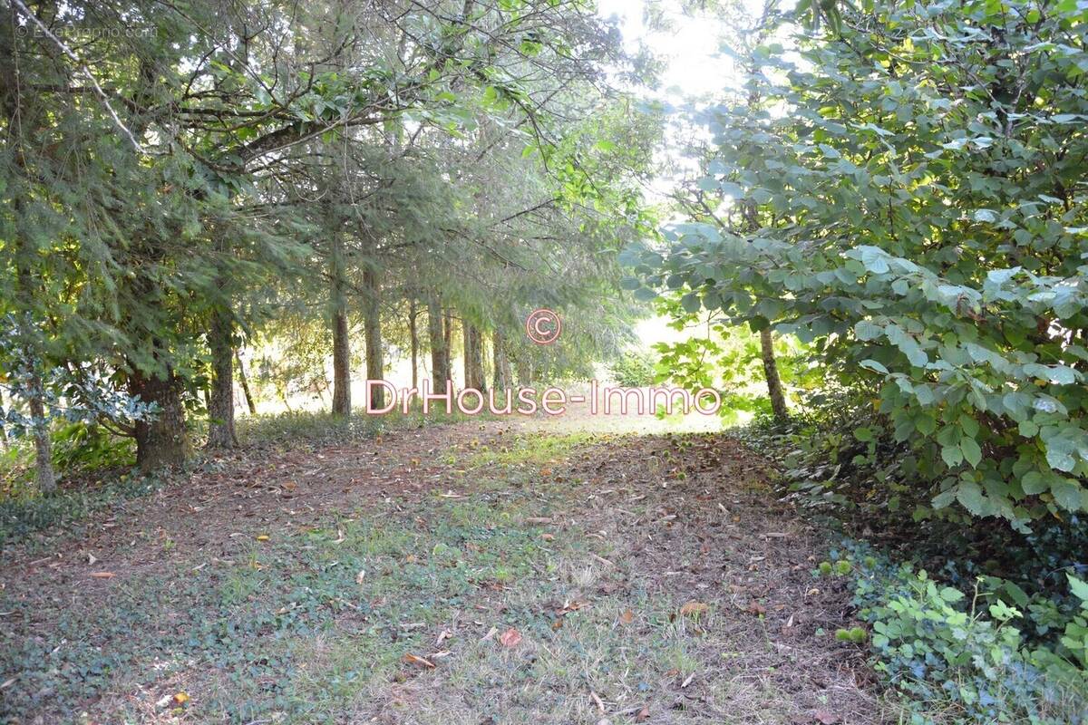 Terrain à BUSSIERE-GALANT