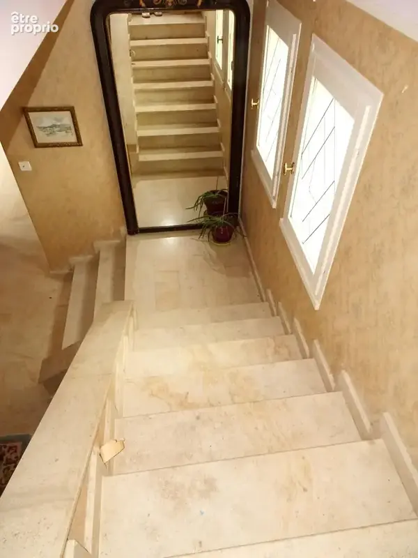 Maison 310 m² à Saint-Laurent-Du-Pape  - photo 5