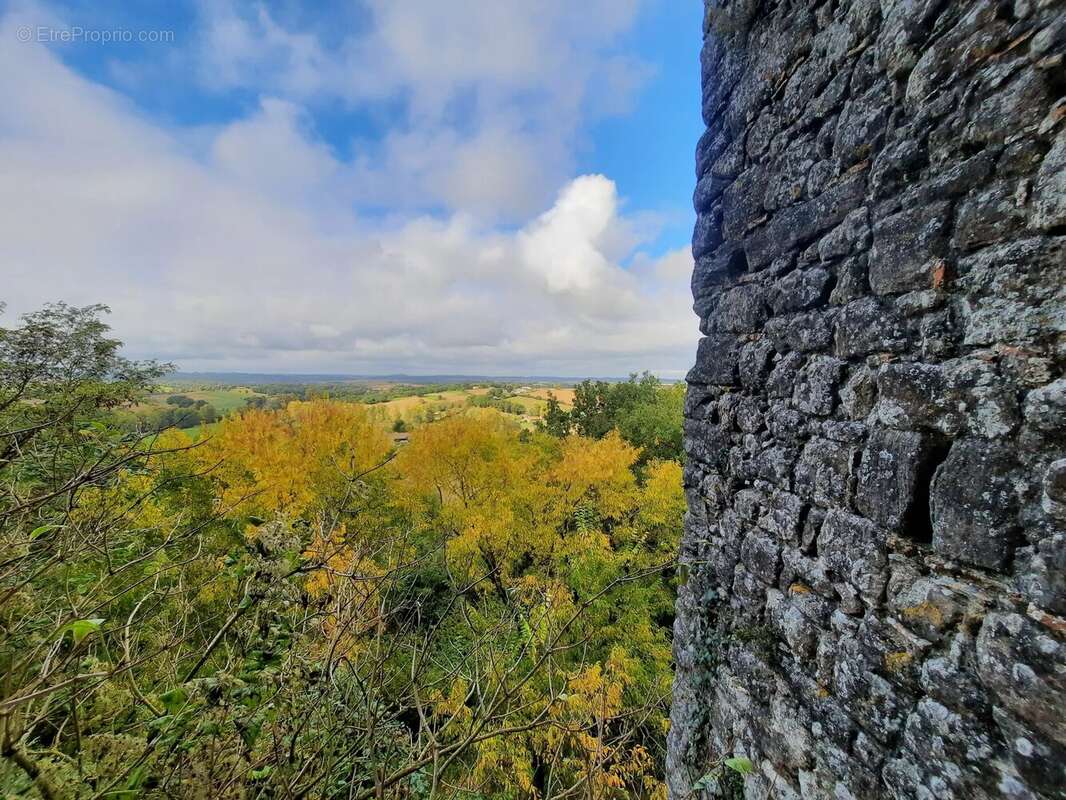 Ruines d'un château du 13ème siècle au cœur d'une bastide - photo 4