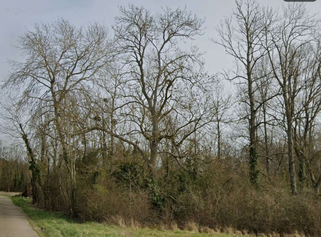 Agréable terrain de loisirs à 1.5km du centre ville - photo 3
