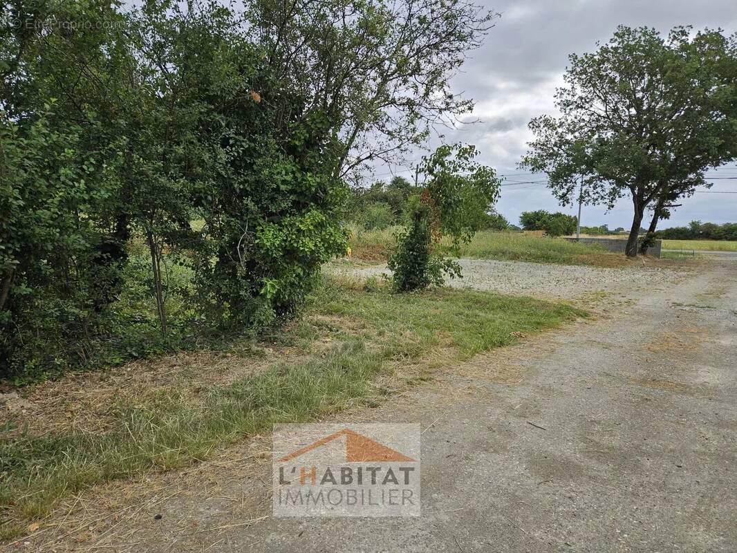 Terrain à SAINT-LYS