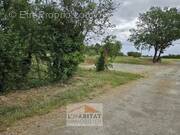 Terrain à SAINT-LYS