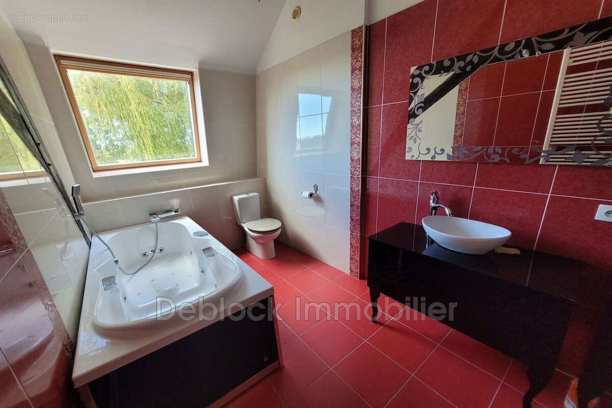 Maison à QUAEDYPRE