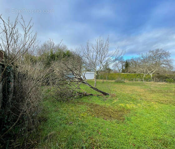 Terrain à SAINT-SEURIN-SUR-L'ISLE
