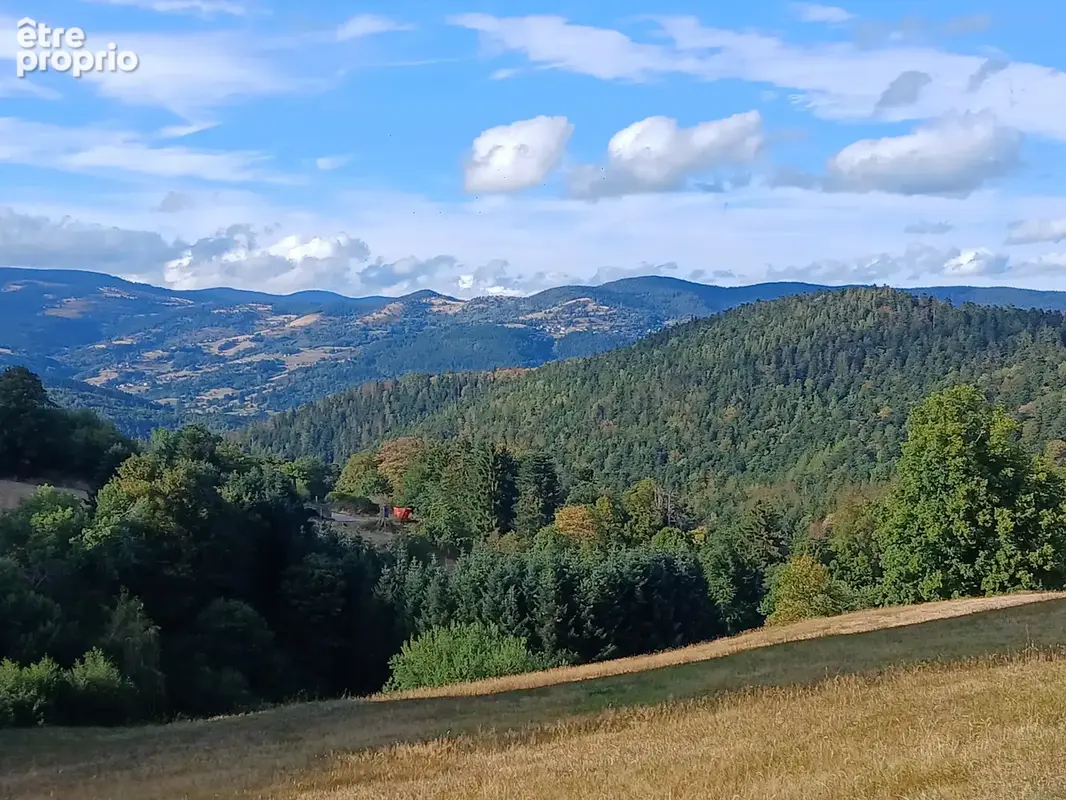 Ancienne marcairerie à rebâtir - photo 5