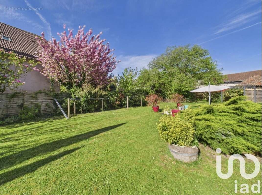 Photo 3 - Maison à CHALUS