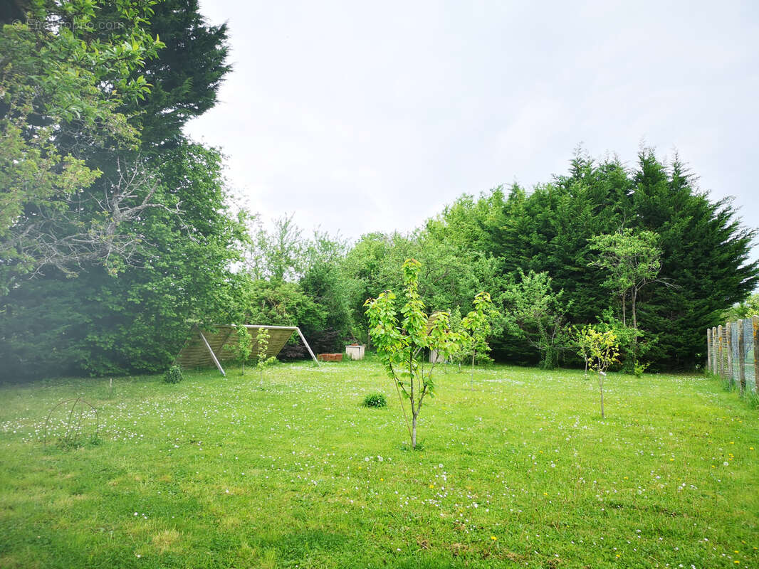 Maison à LA FERTE-ALAIS