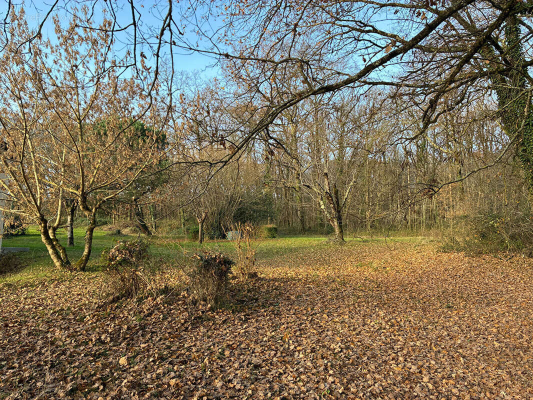 Maison à MONTASTRUC