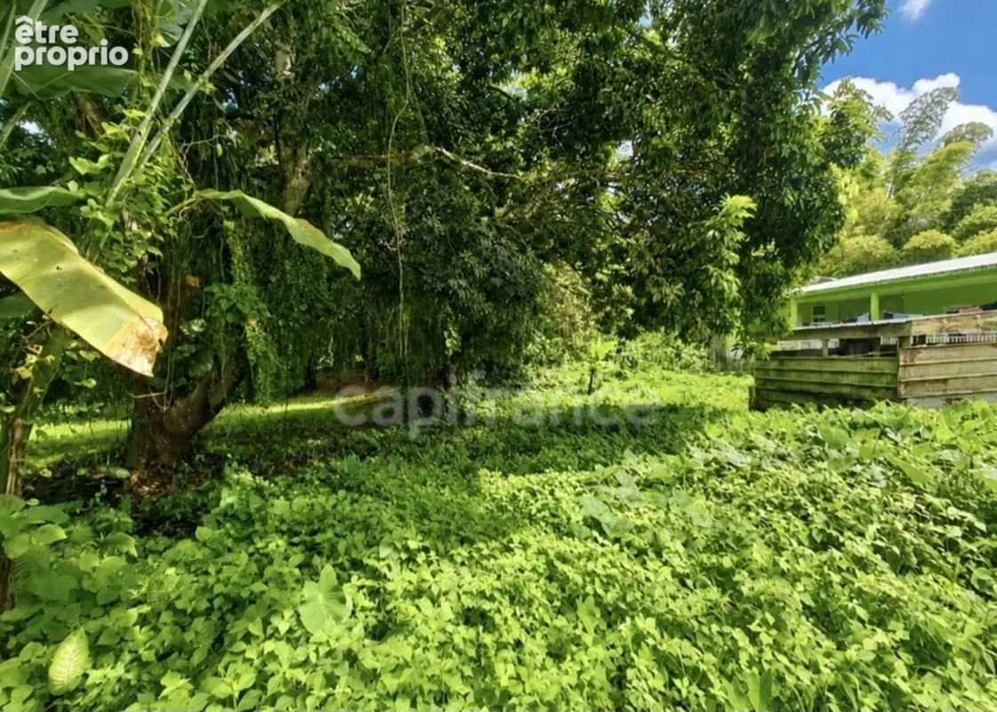 A vendre - Terrain plat de 729 m² – Ajoupa-Bouillon – Secteur Adinet - photo 3