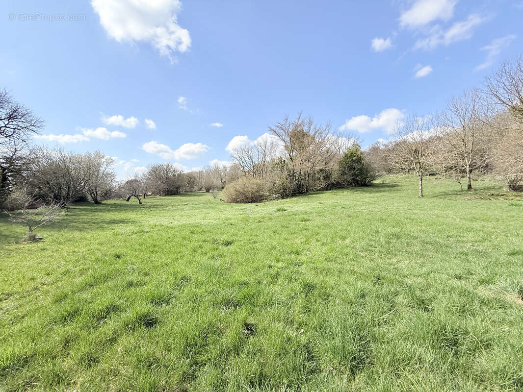 Petite habitation sur grand terrain constructible sur Campestre - photo 8