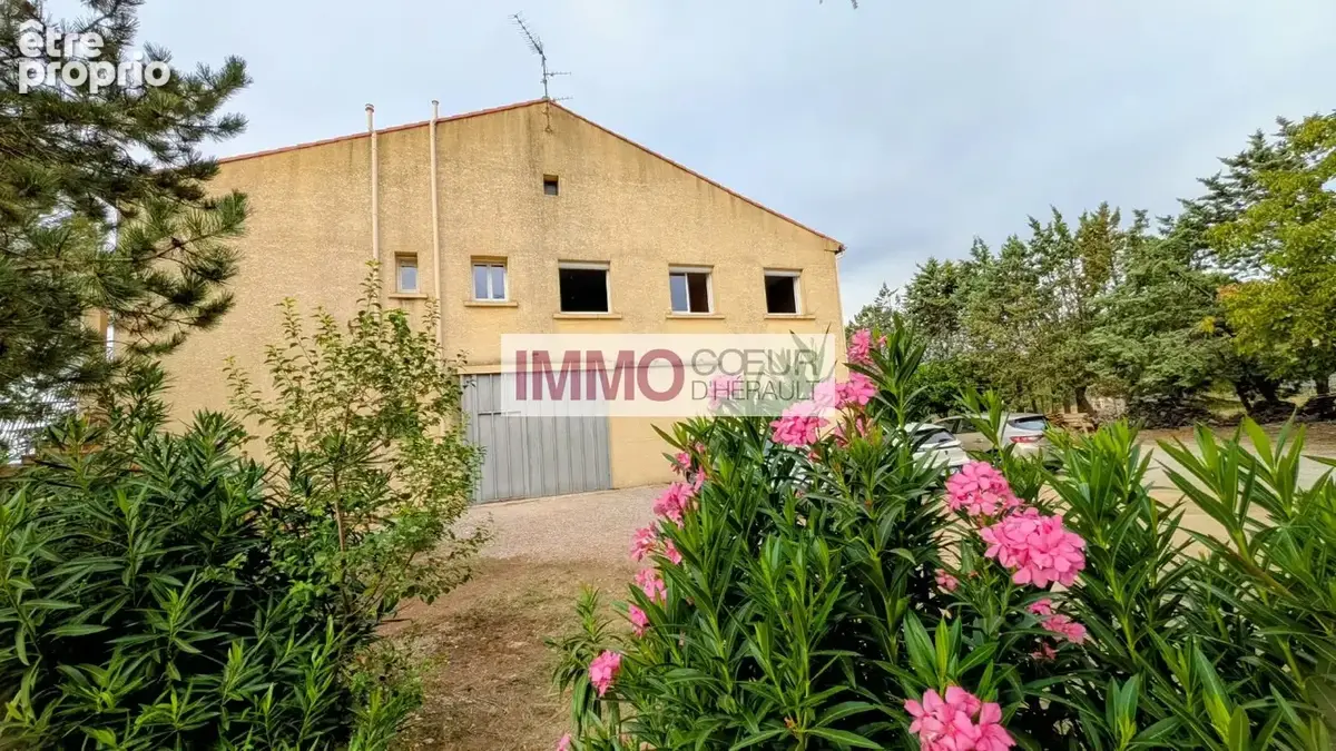 Villa de style vigneronne  218 m²  terrain de 3 980 m²  saint-andré-de-sangonis - photo 18