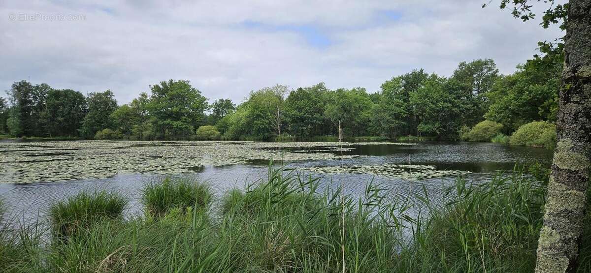 Terrain à MIGNE