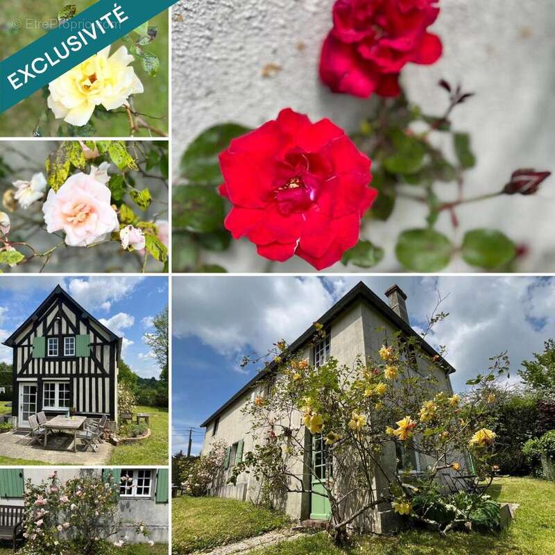 Photo 2 - Maison à BEAUFOUR-DRUVAL