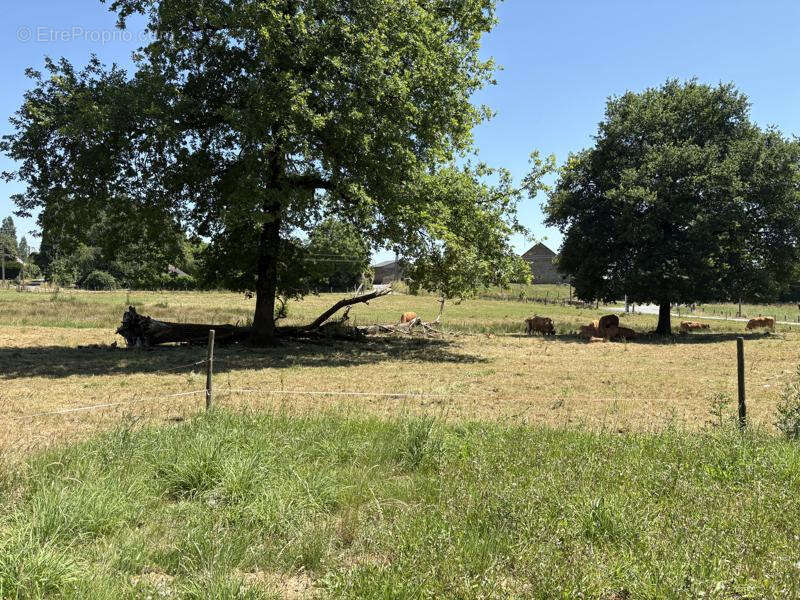 Proche Pompadour, petit hameau - photo 29