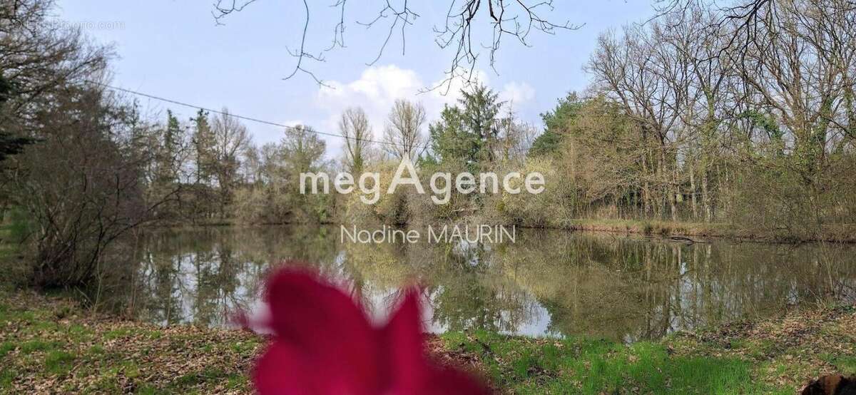 Maison à MUR-DE-SOLOGNE