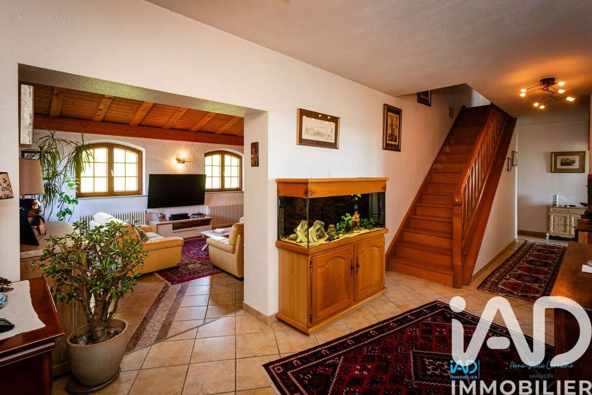 Photo 6 - Maison à ALGOLSHEIM