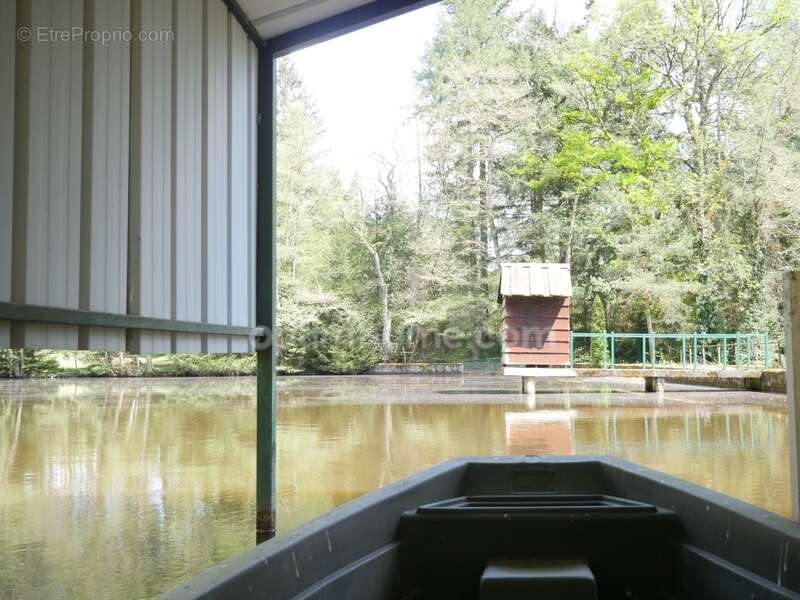 Propriete de charme - photo 10